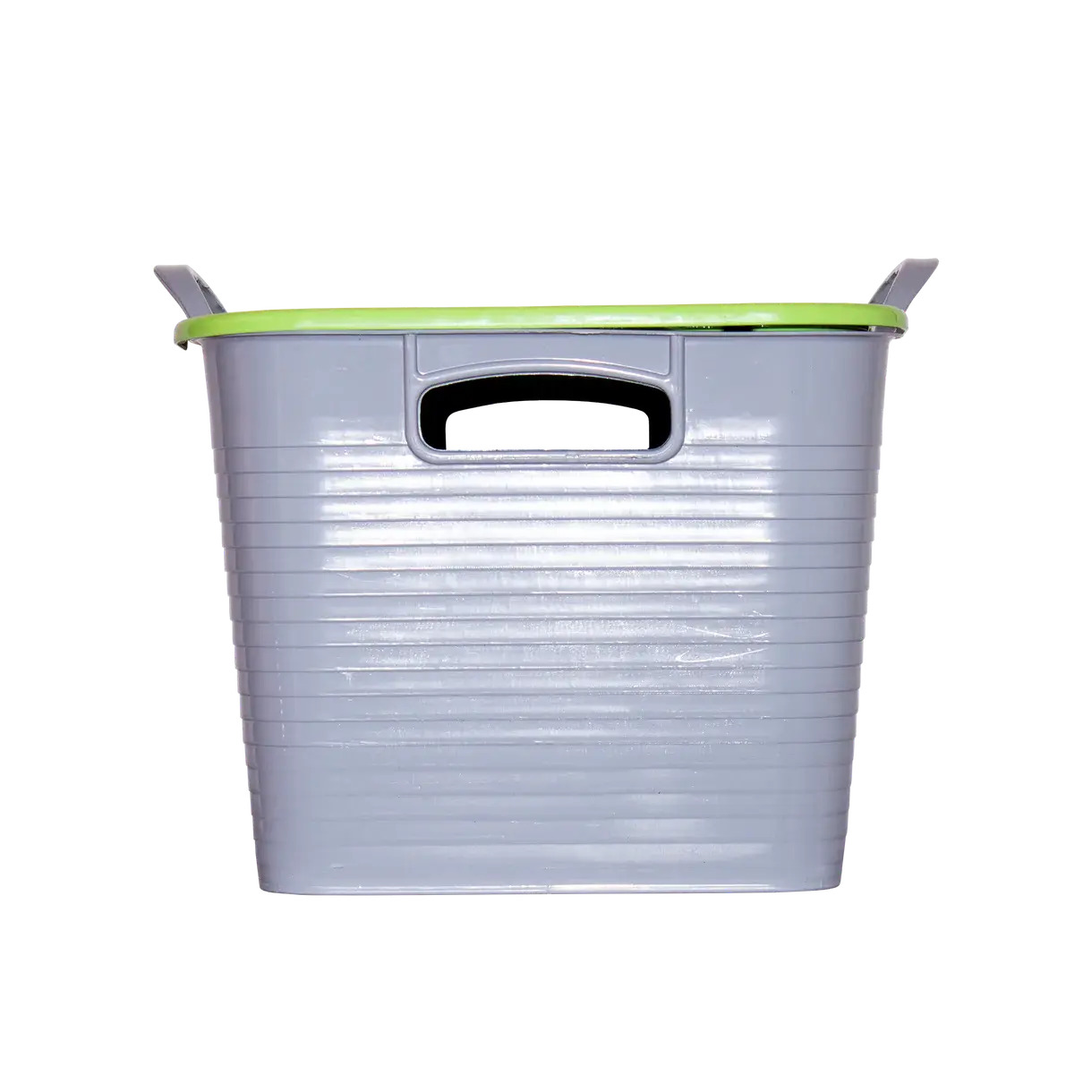 Red Gorilla Aufbewahrungsbox 25L Pistazie