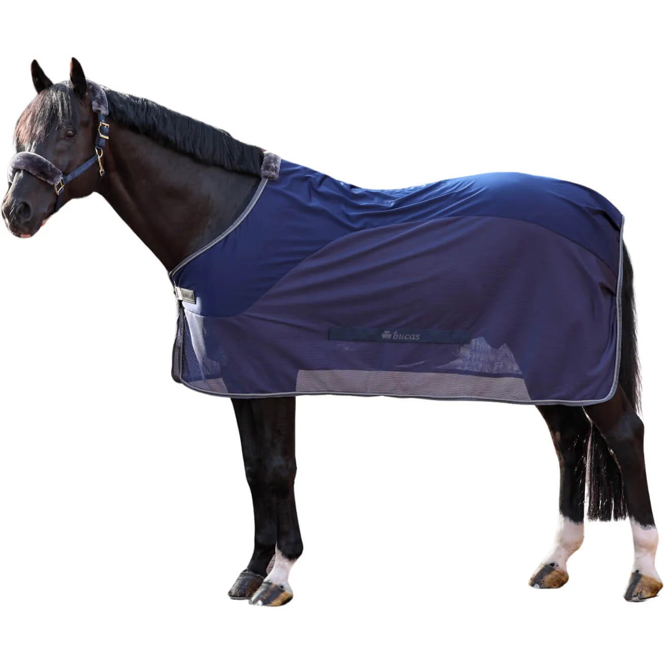 Bucas Abschwitzdecke Show Line Competition Cooler Navy/ Grey, Gr.155 cm