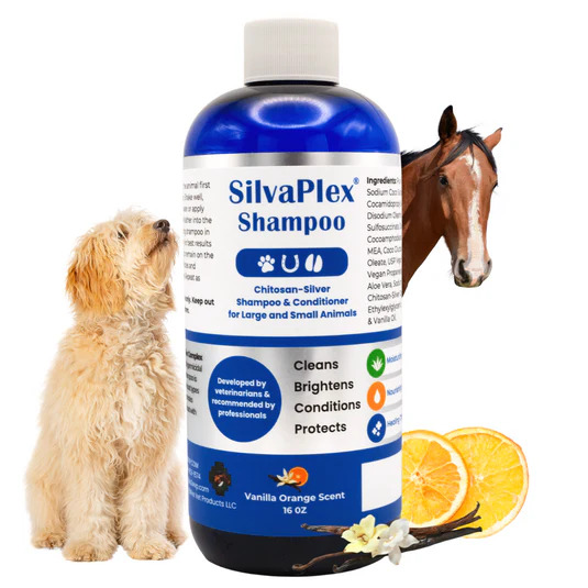 SilvaPlex AG21 Chelated Silver Pet Shampoo 946,4ml Pflege für das Fell