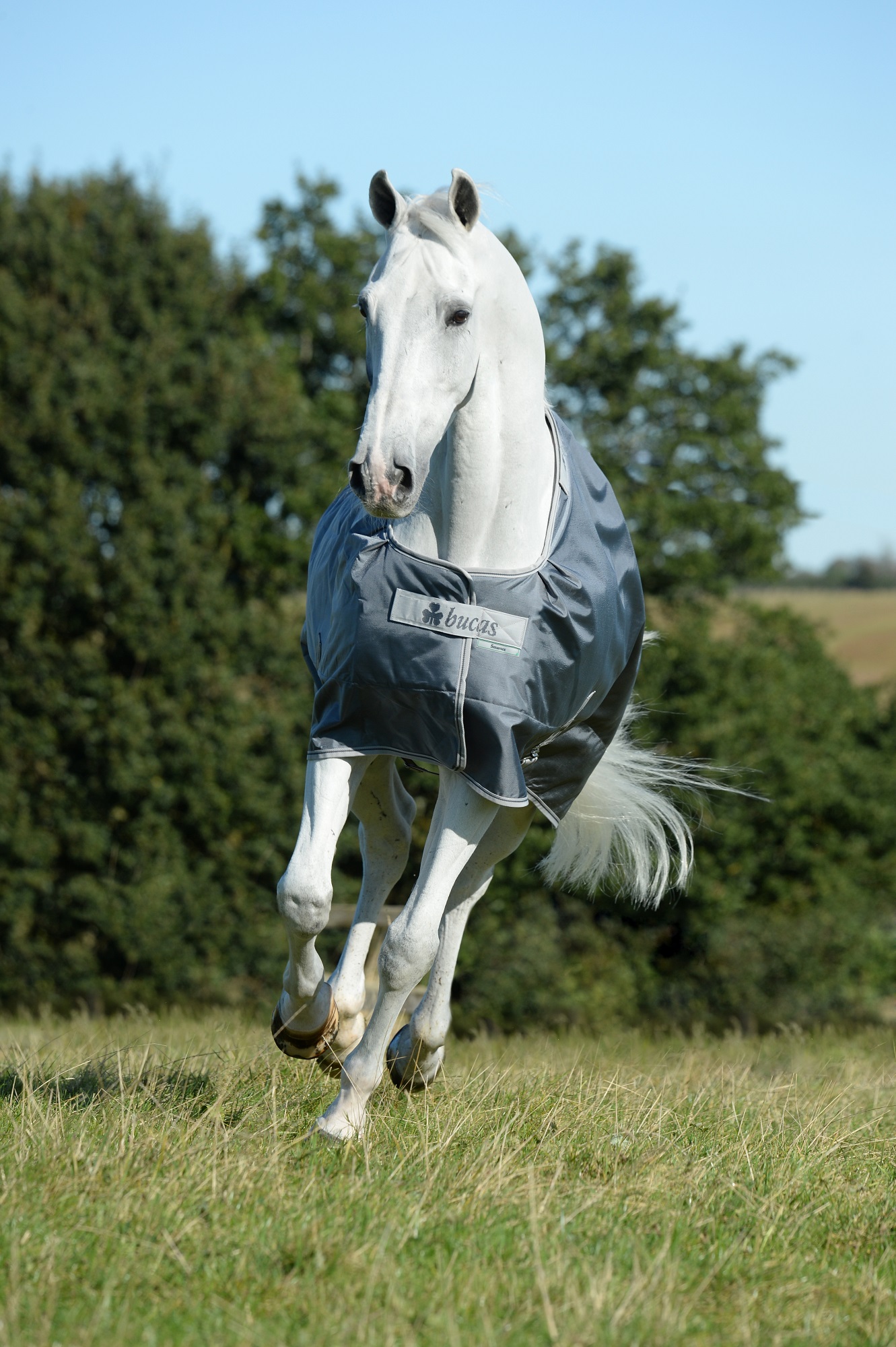 Bucas Smartex Rain 0g Iron Gate, Gr. 140 cm