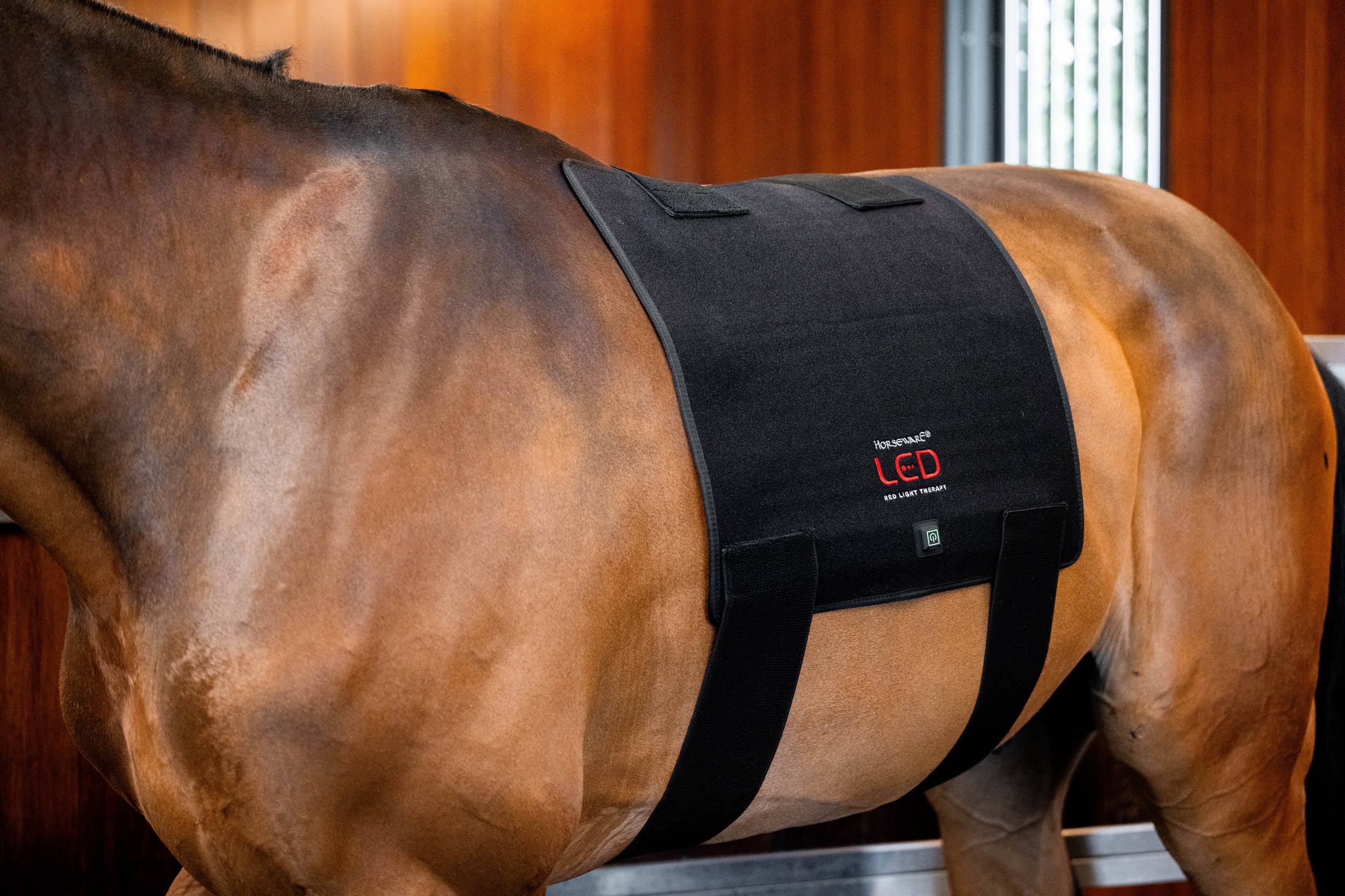 Horseware Led-Rotlicht-Therapie – Körperpad Schwarz
