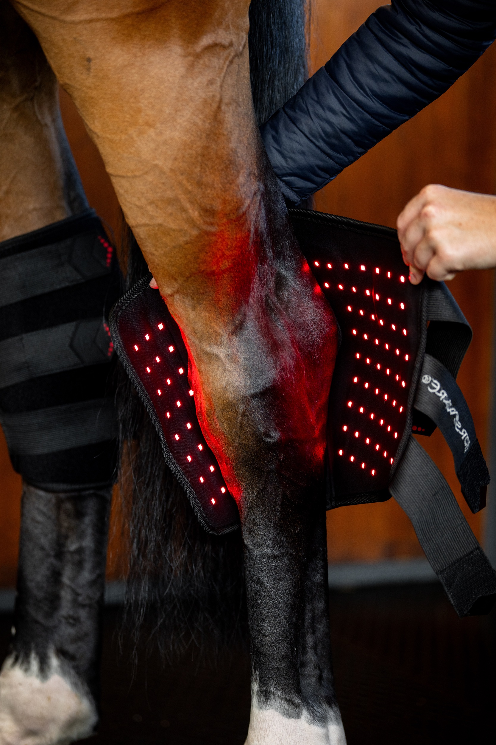 Horseware Led-Rotlicht-Therapie – Sprunggelenkgamaschen Black / One Size / 2 Stück