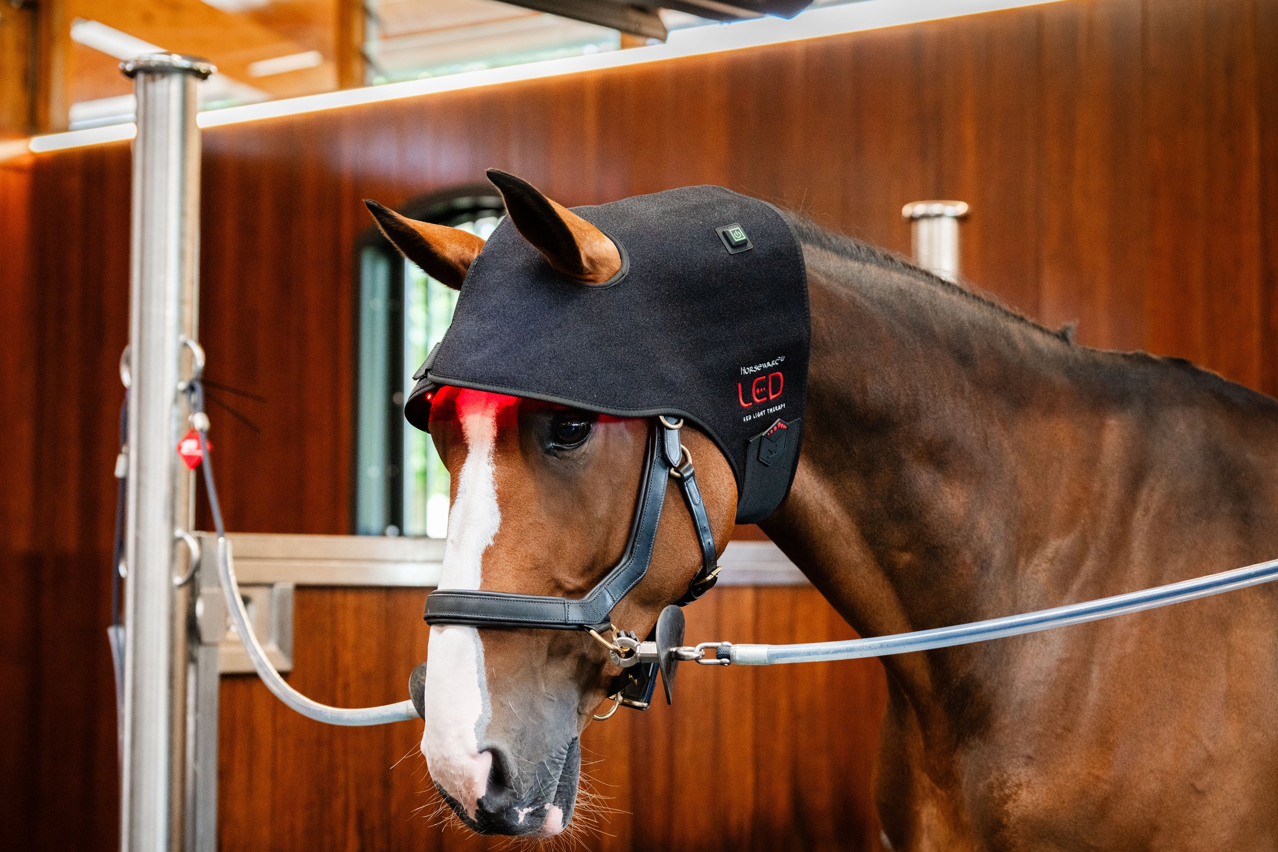 Horseware Led-Rotlicht-Therapie – Genickhaube Schwarz
