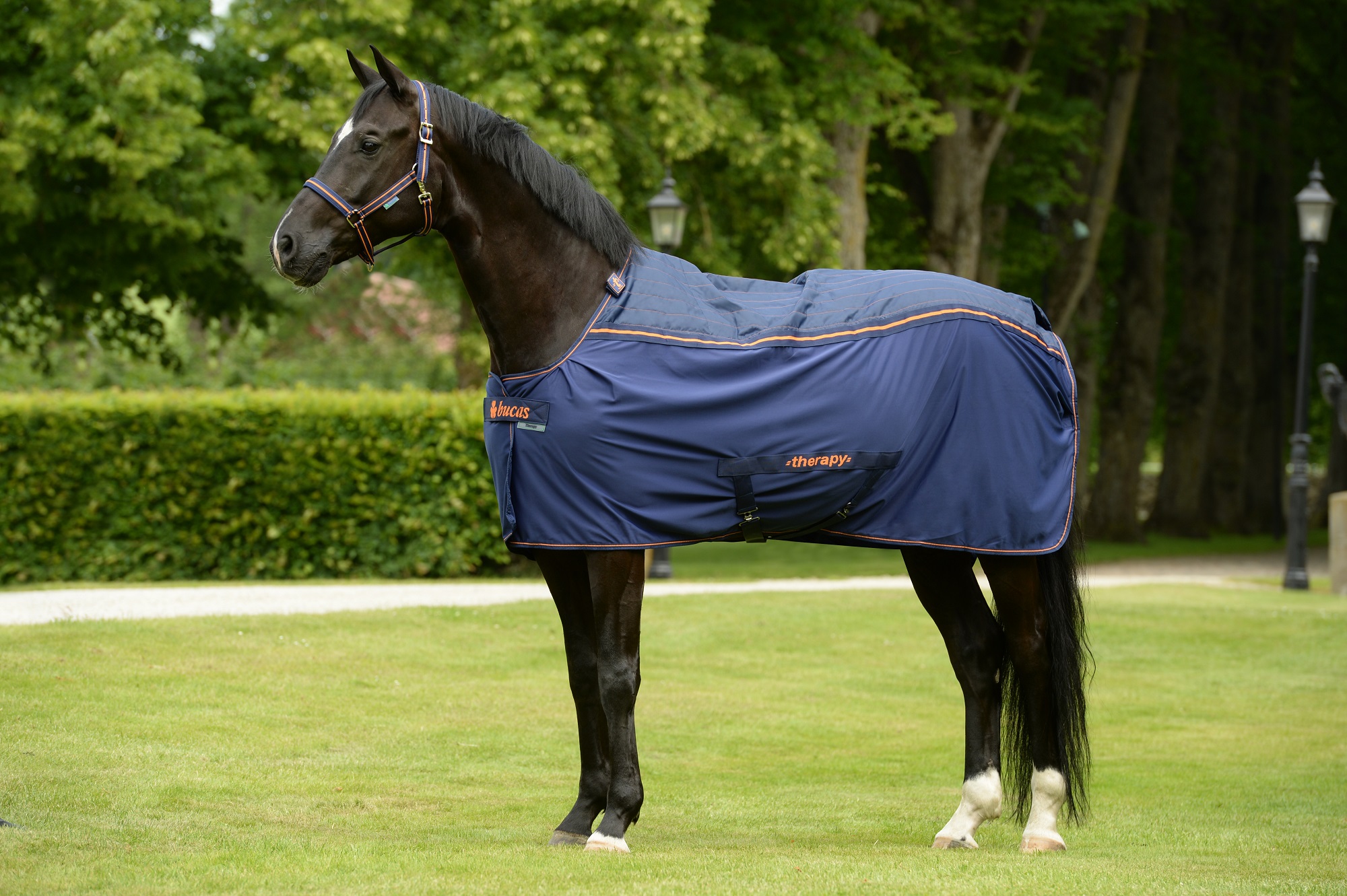 Bucas Therapy Cooler Navy/Orange, 125 cm