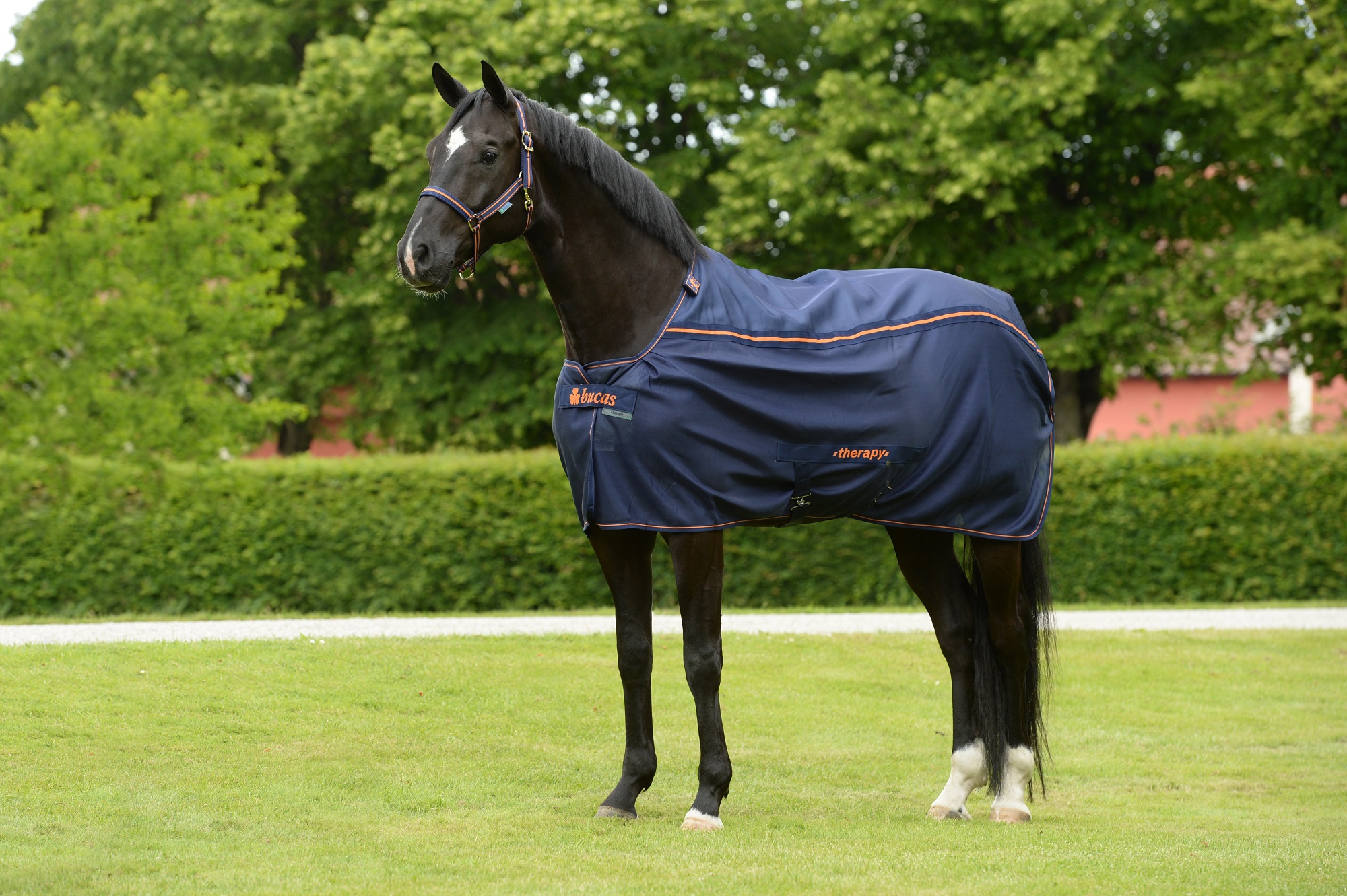 Bucas Therapy Mesh Cooler Navy/Orange, Gr. 125 cm