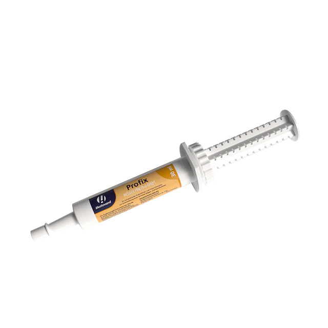 Hestevard Profix Paste 30ml Für eine gesunde Verdauung
