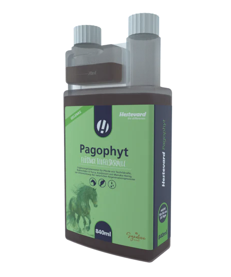 Hestevard Pagophyt 840ml Ehemals Teufelskerl / Teufelskralle