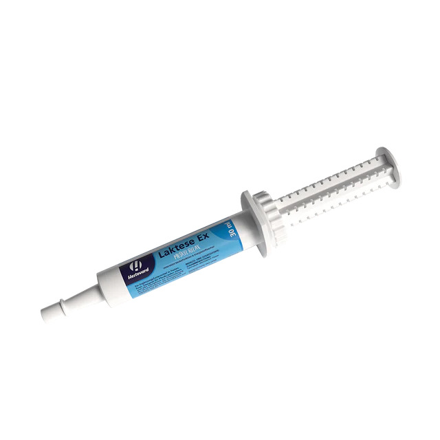 Hestevard Laktese Ex Paste 30ml Für Muskulatur & Energiestoffwechsel
