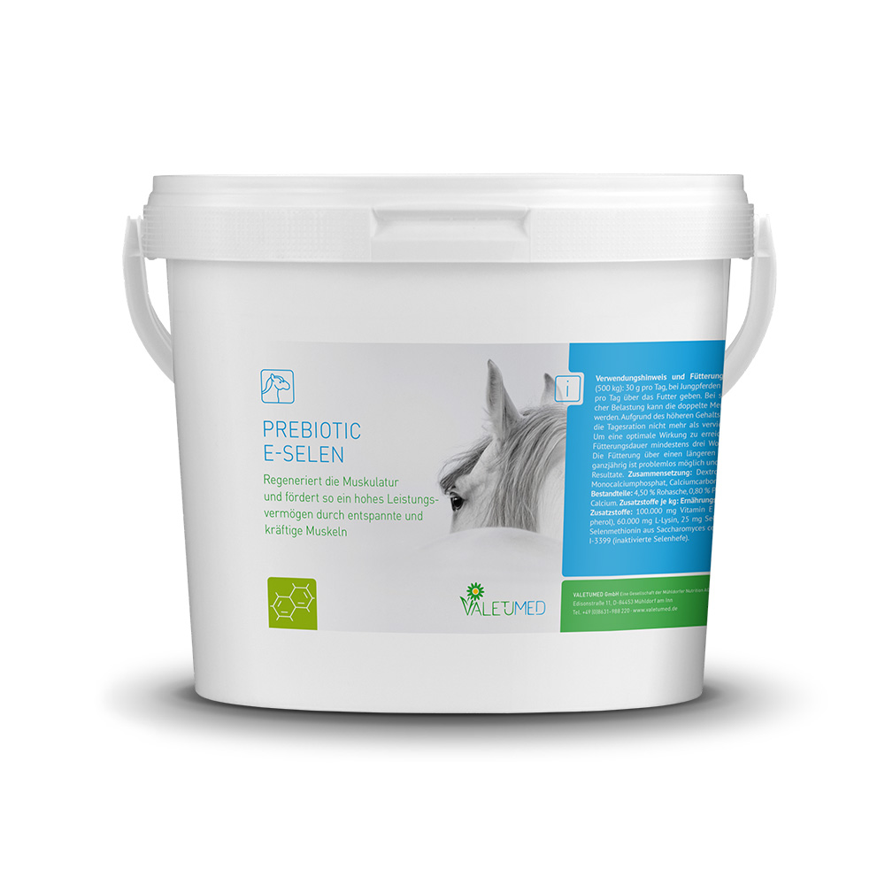 Valetumed Prebiotic E-Selen 3 kg Unterstützung der Muskelregeneration