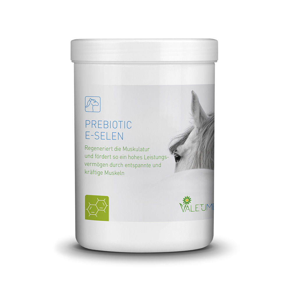 Valetumed Prebiotic E-Selen 750g Unterstützung der Muskelregeneration