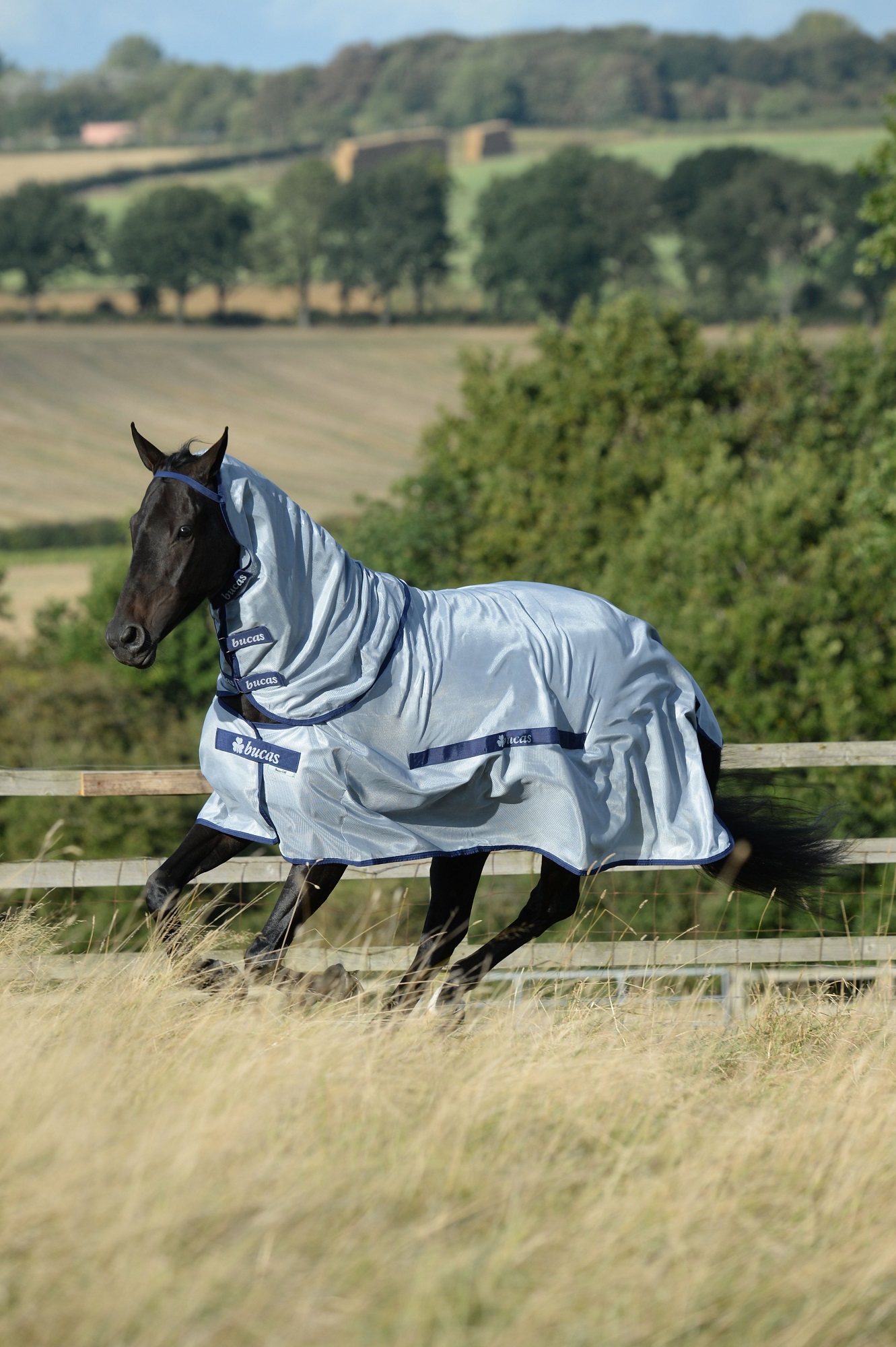 Bucas Buzz-off Fliegendecke Blue, 140 cm