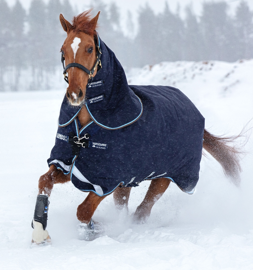 Horseware Rambo Duo Turnout 100g + 300g Liner Navy/Baby Blue & Brown, Gr. 145 cm