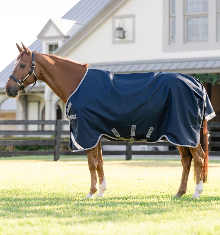 Horseware Amigo 1200D Turnout 50g Navy/Titanium Grey & Silver, Gr. 140 cm