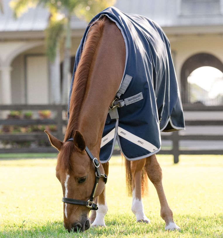 Horseware Amigo 1200D Turnout 250g Navy/Titanium Grey & Silver, Gr. 125 cm