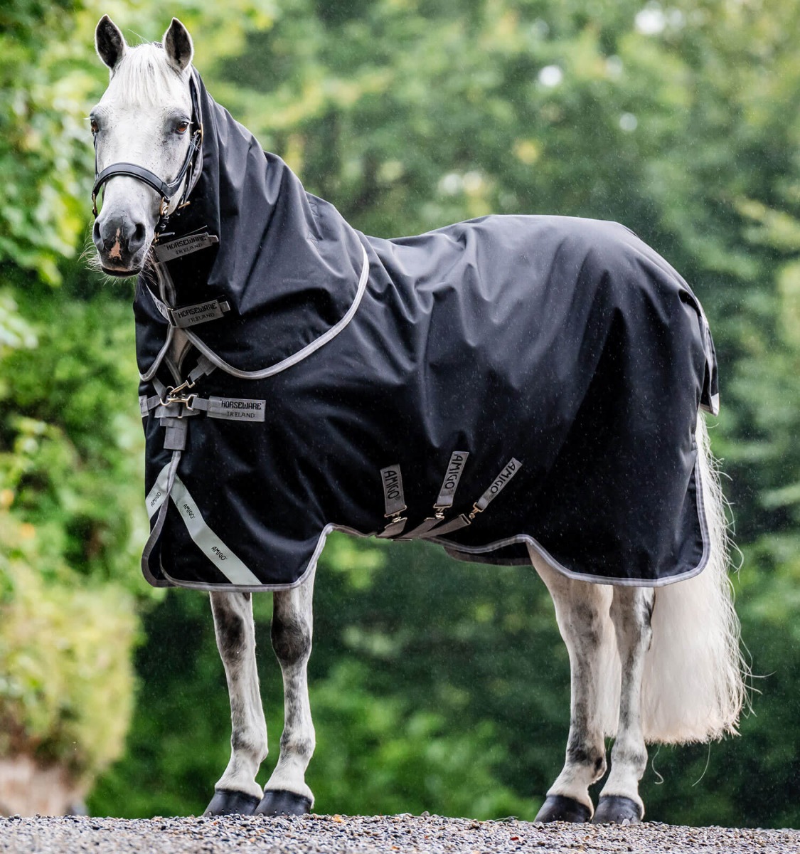 Horseware Amigo 1200D Plus Turnout Bundle (50g + 100g + 200g) Black/Titanium Grey & Silver, Gr. 145 cm