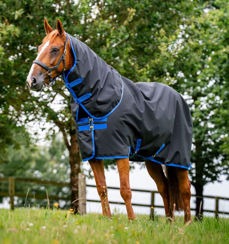 Horseware Amigo 100g Ripstop 900D Plus Turnout Black/ Classic Blue, Gr. 160 cm (7'0")