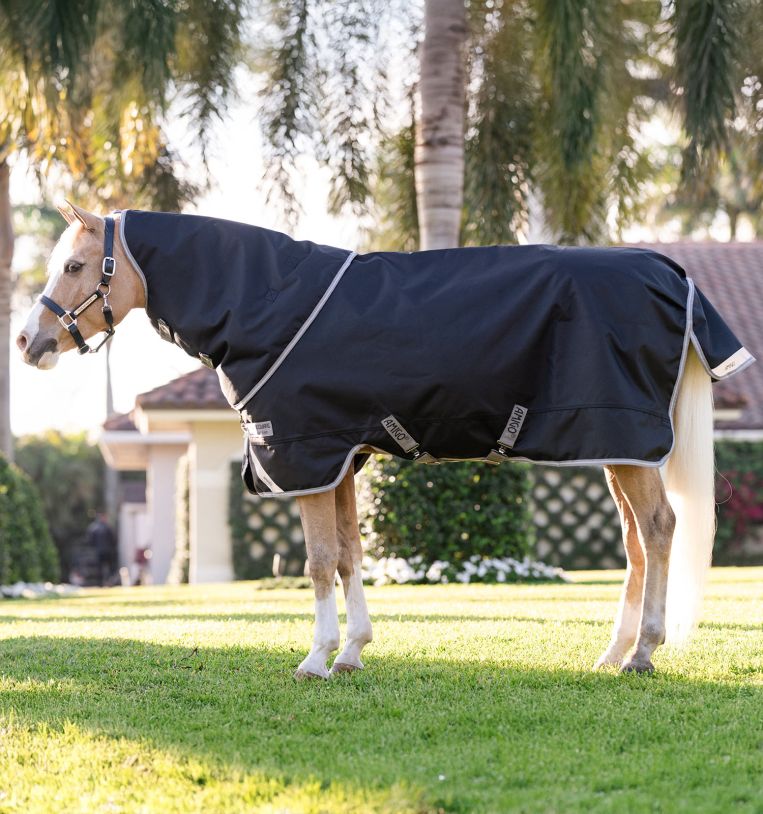 Horseware Amigo 1200D Plus Pony Turnout 0g Black/Titanium Grey & Silver, Gr. 125 cm