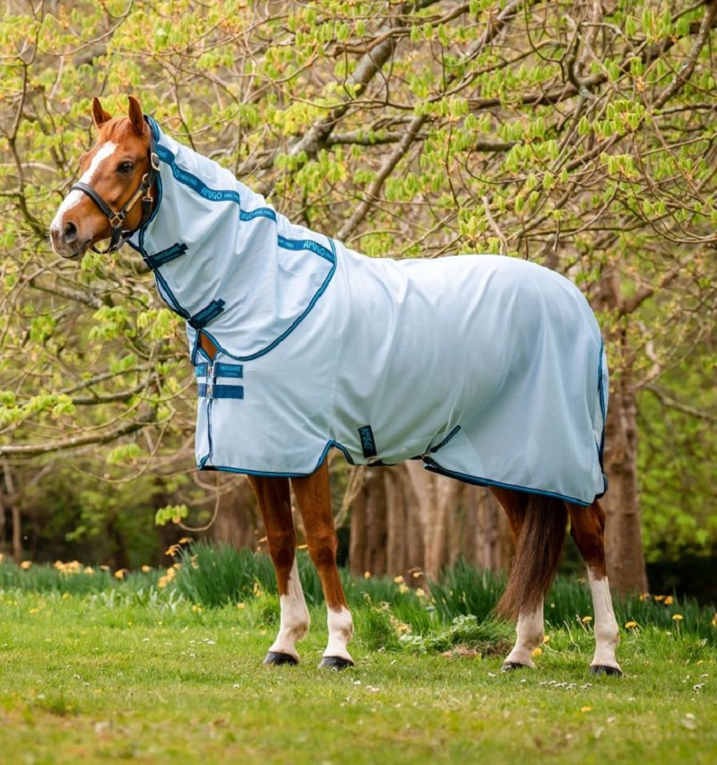 Horseware Amigo Bug Rug Fliegendecke Pony 85 cm, Azure Blue/ Navy & Blue