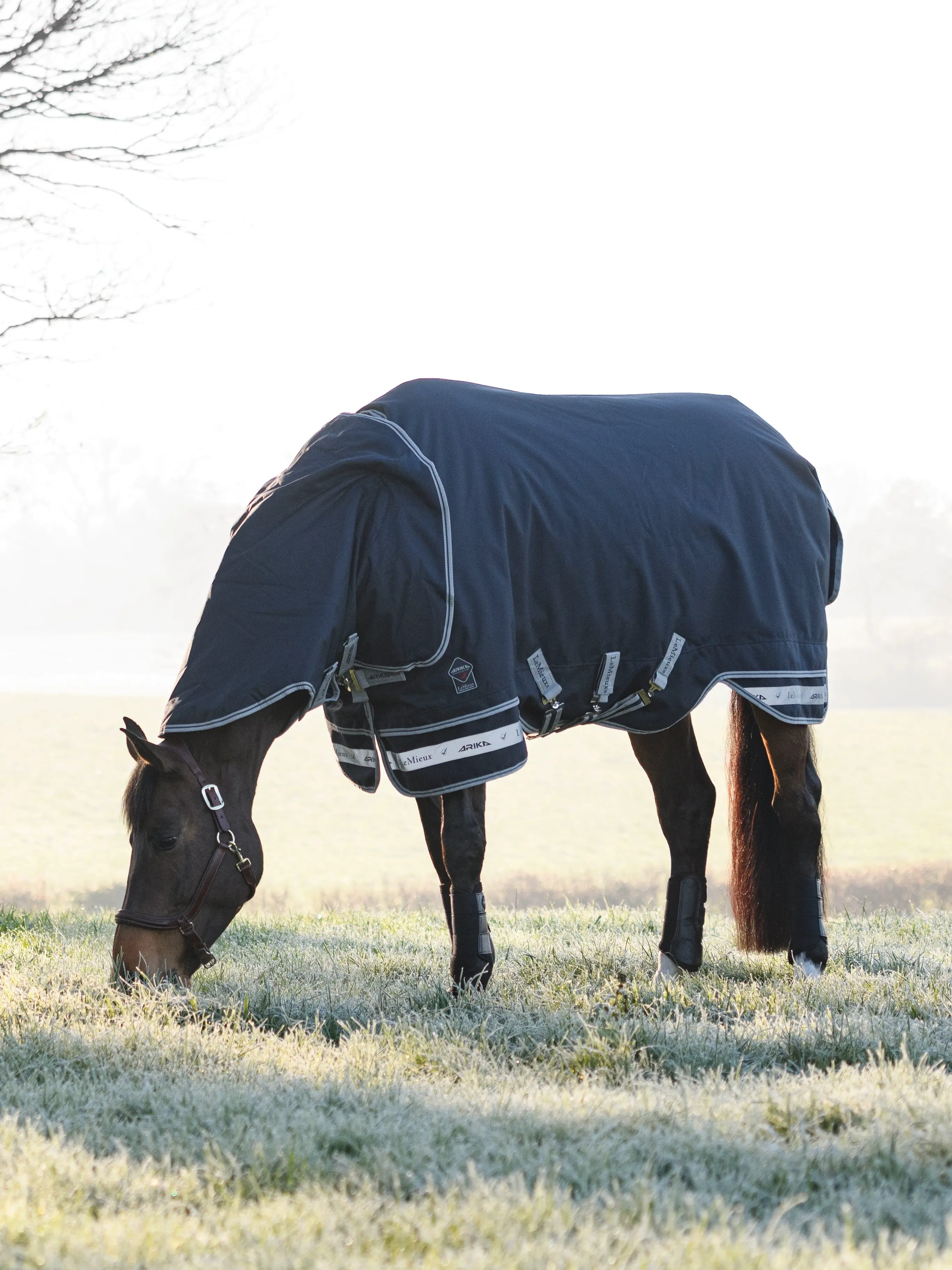 LeMieux Arika Storm-Tek Rug 100g Navy, 145 cm