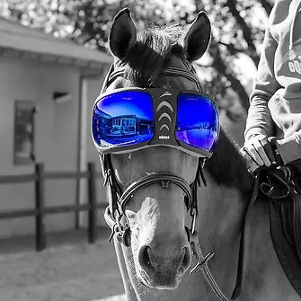 eQuick® eVysor Brillengläser Kit mirrored blue Ersatz-Brillengläser