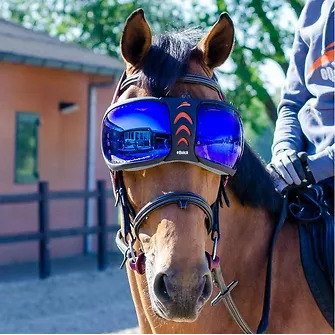 eQuick® eVysor Schutzbrille mirrored blue, onesize Augenschutzbrille für Pferde