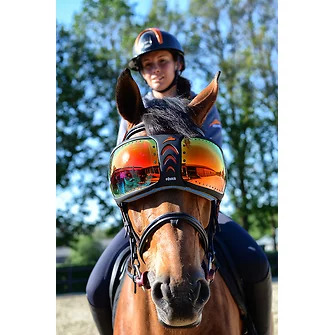 eQuick® eVysor Schutzbrille rainbow, onesize Augenschutzbrille für Pferde