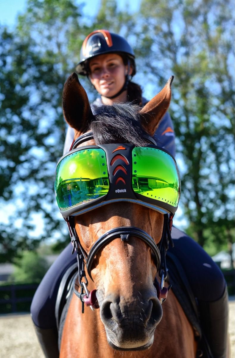 eQuick® eVysor Brillengläser Kit mirrored green Ersatz-Brillengläser