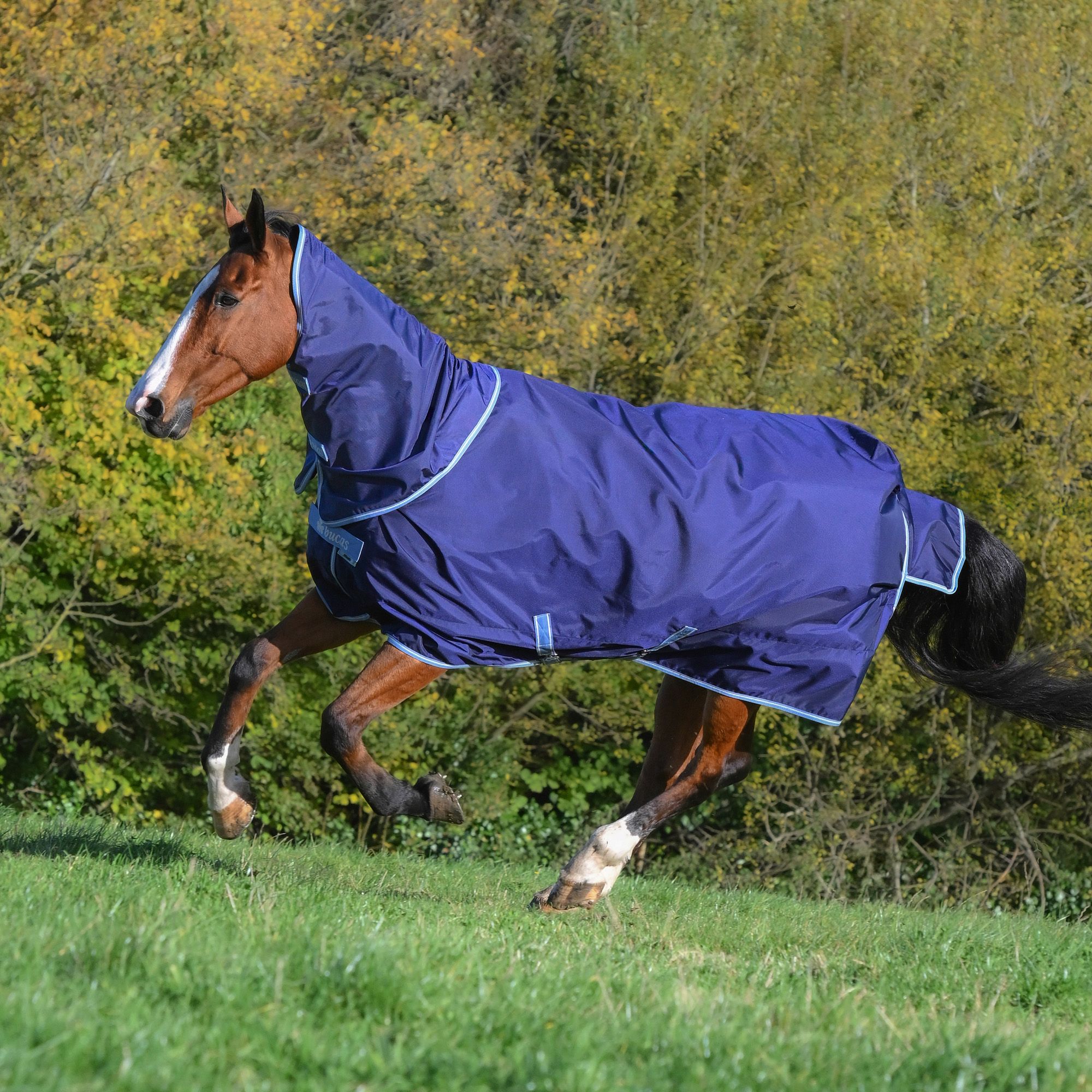 Bucas Atlantic Exclusive mit Halsteil Navy/blue, Gr. 140 cm