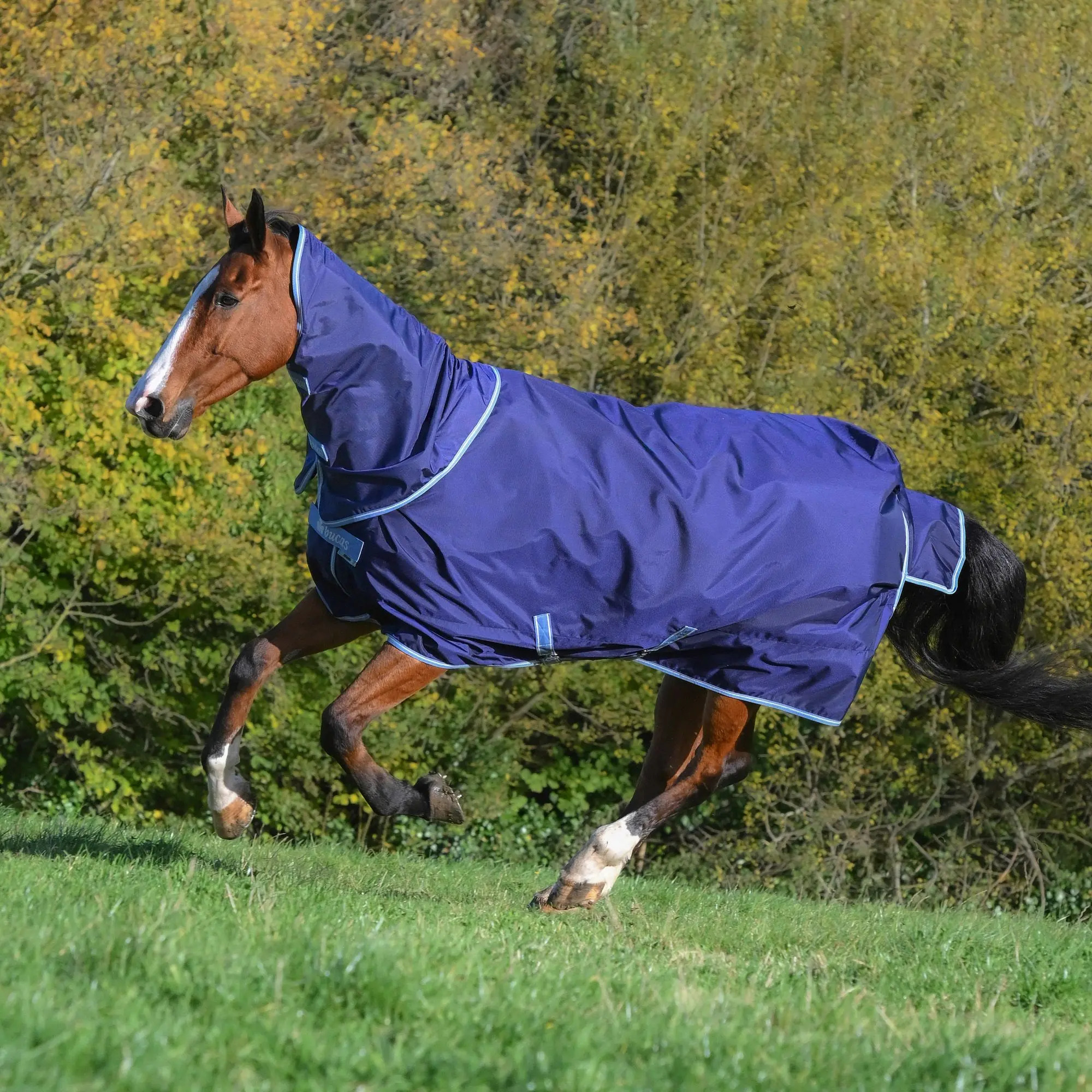 Bucas Atlantic Exclusive 150g & Neck Navy/blue, Gr. 125 cm