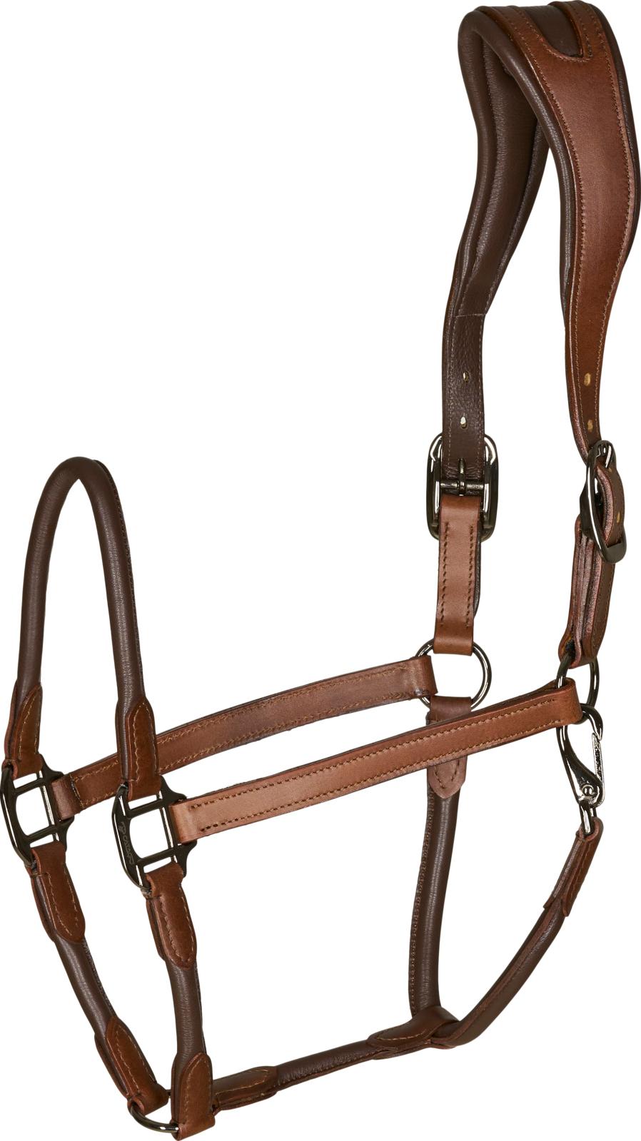 Catago Lederhalfter cognac, Pony