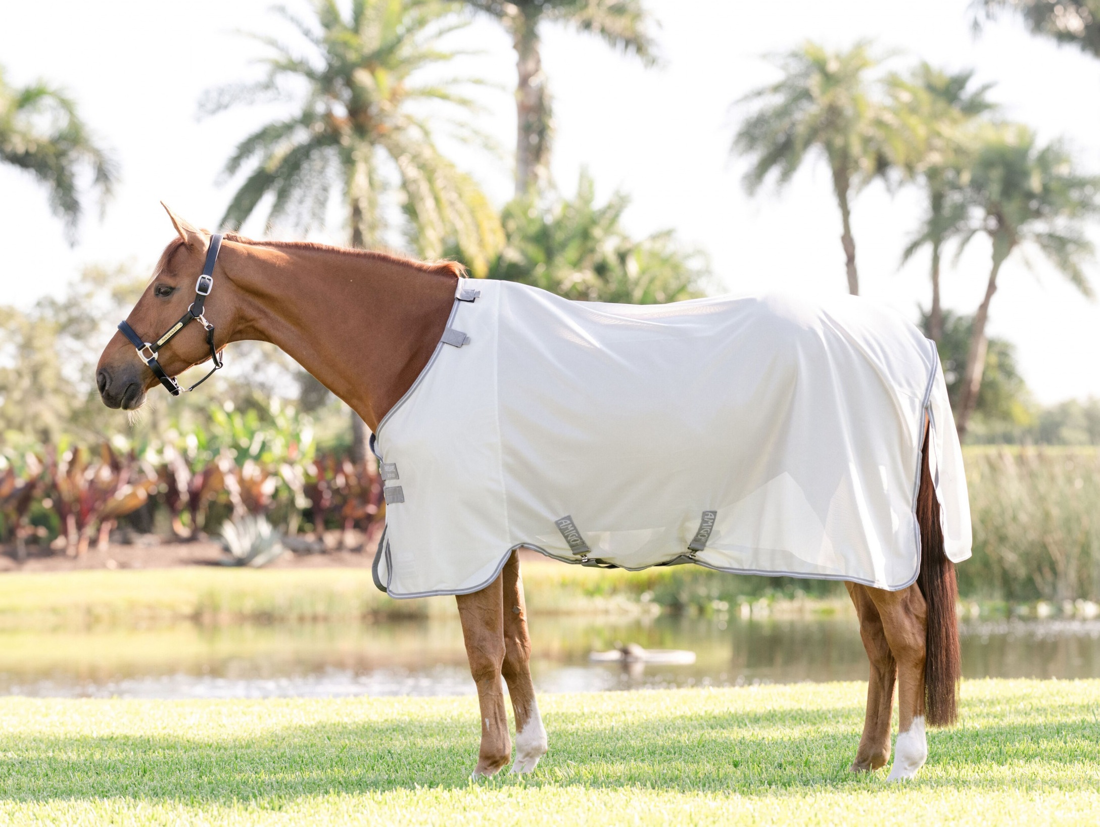 Horseware Fliegendecke Amigo Bug Rug Silver/Titanium Grey & Silver/ 130 cm (6'0")