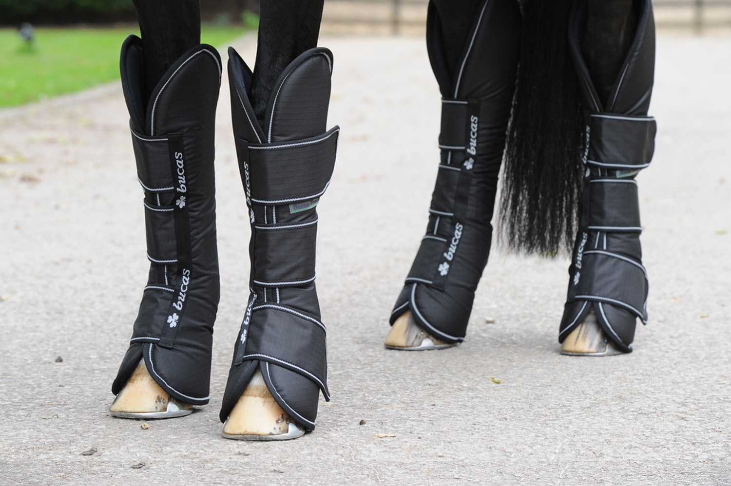 Bucas Freedom Boots Transportgamaschen black, Pony