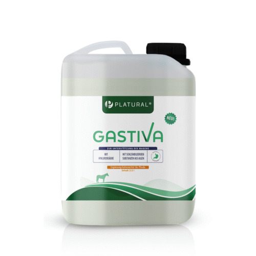 Platural Gastiva equine 2,5 L Zur Unterstützung einer gesunden Magenfunktion