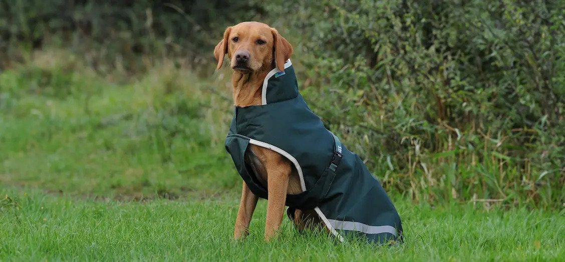 Bucas Greenline Dog Rug 40cm Green/cream