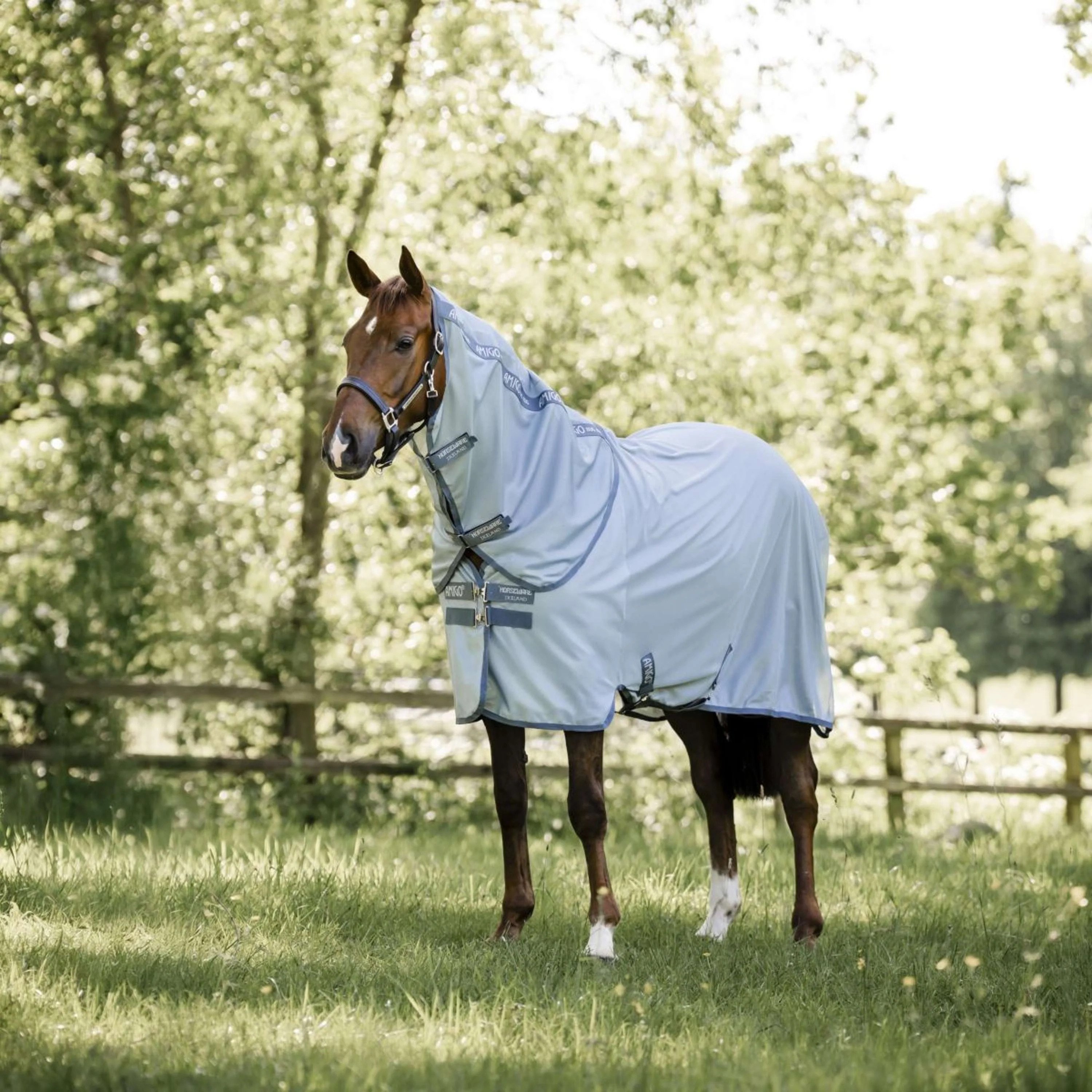 Horseware Amigo Bug Rug Plus Fliegendecke Heather Blue/Blue & Silver / 130 cm
