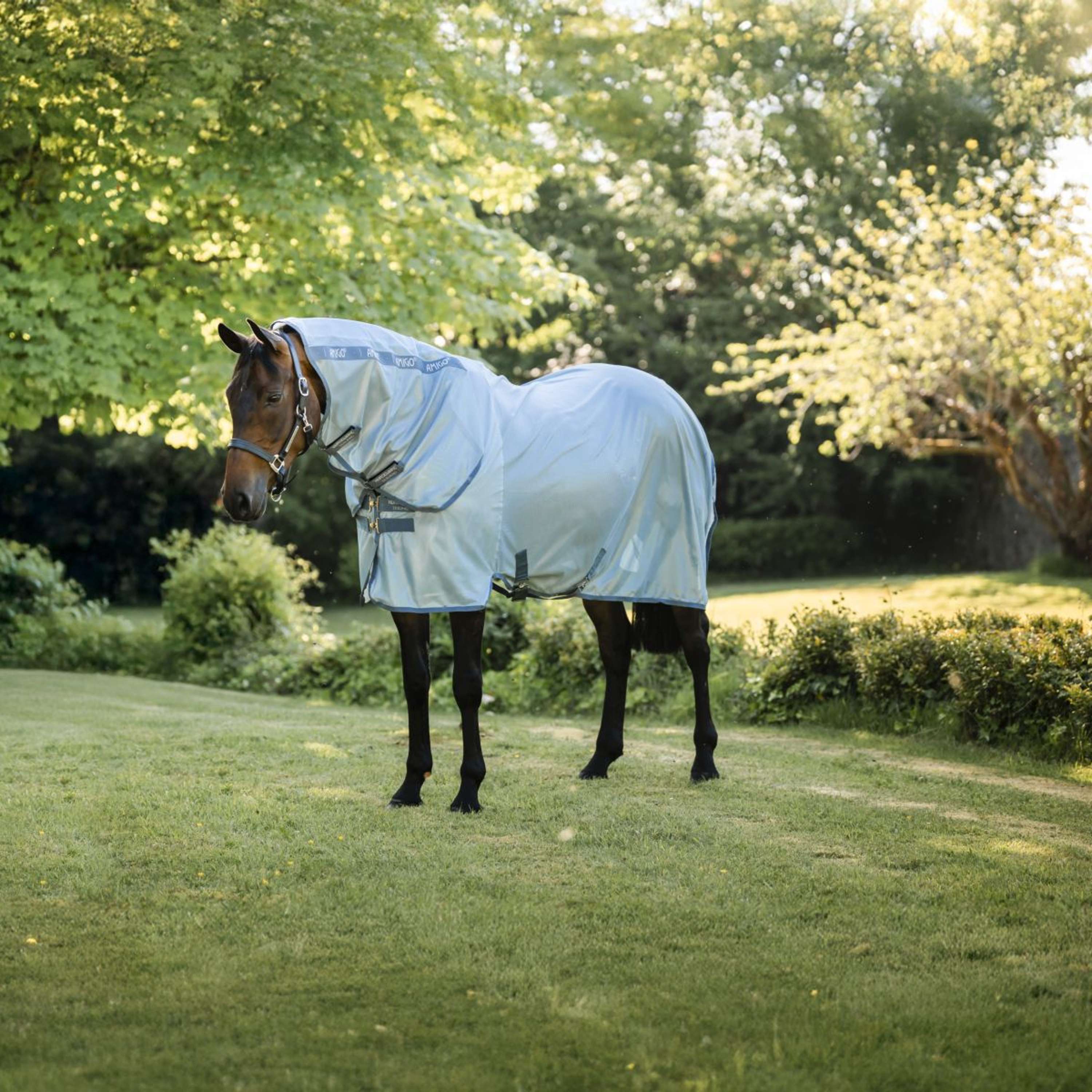 Horseware Amigo integrated Fliegendecke Heather Blue/Blue & Silver / 140 cm