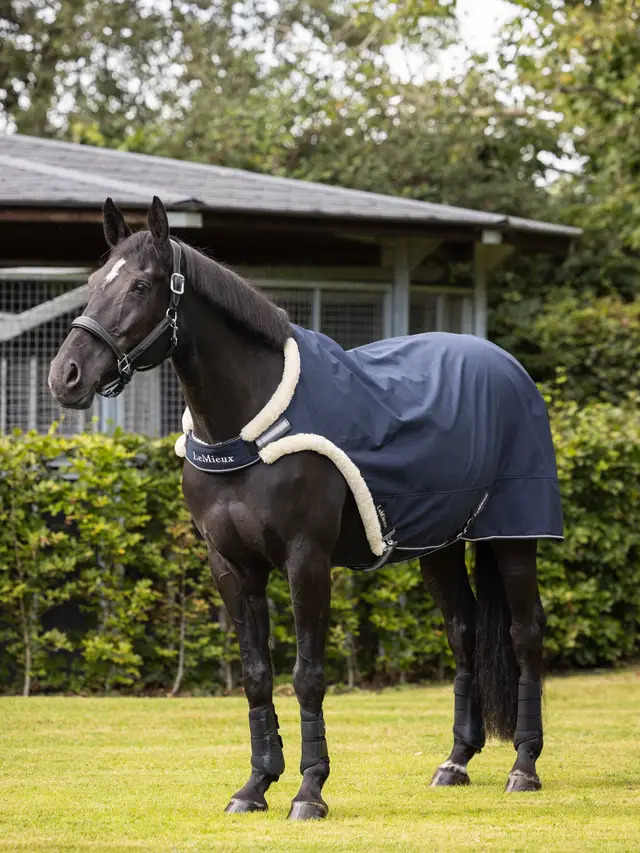 LeMieux Walker Rug Navy, Xl