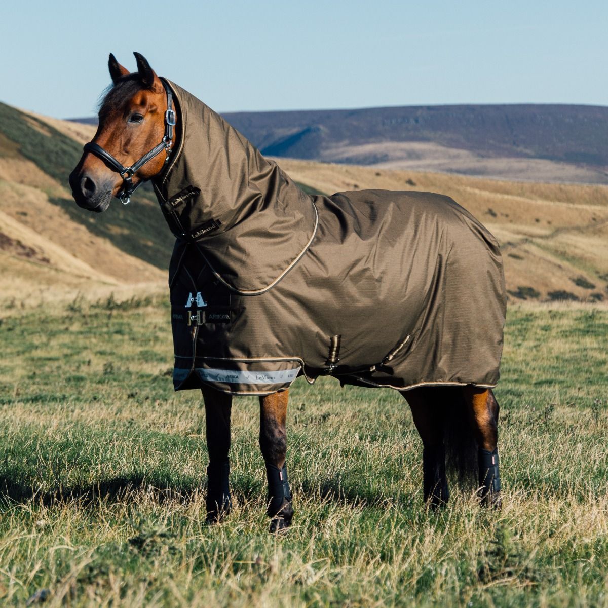 LeMieux Arika Ripstop 0g Turnout Rug Alpine, 140 cm