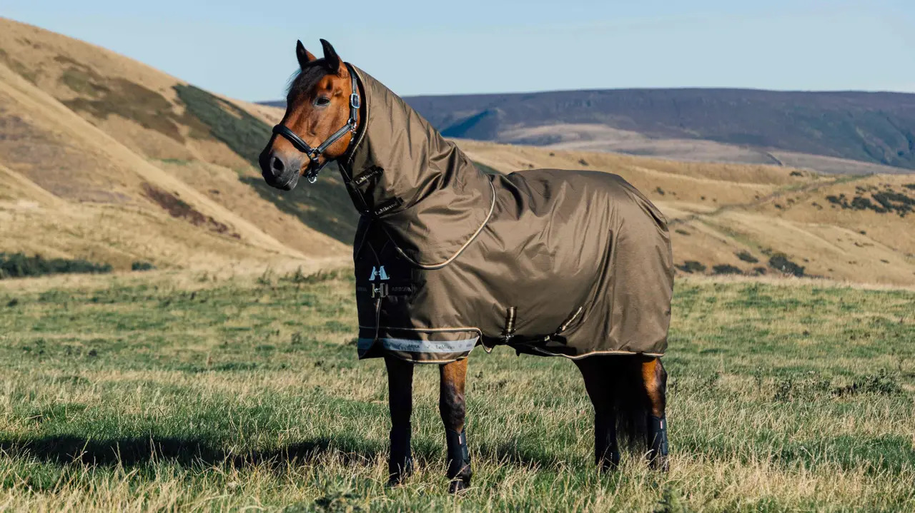 LeMieux Arika Ripstop 100g Turnout Rug Alpine, 145 cm