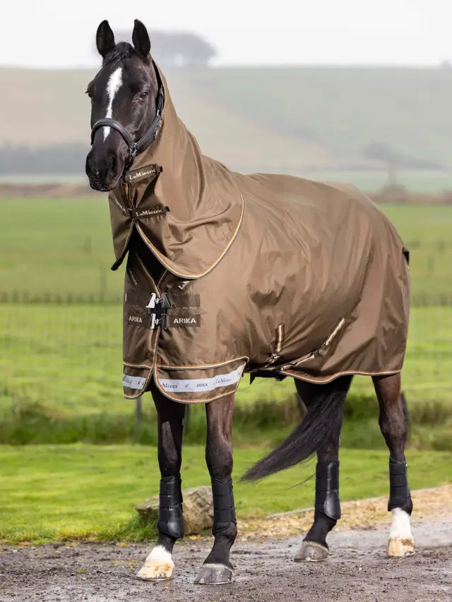 LeMieux Arika Ripstop 200g Turnout Rug Alpine, 145 cm