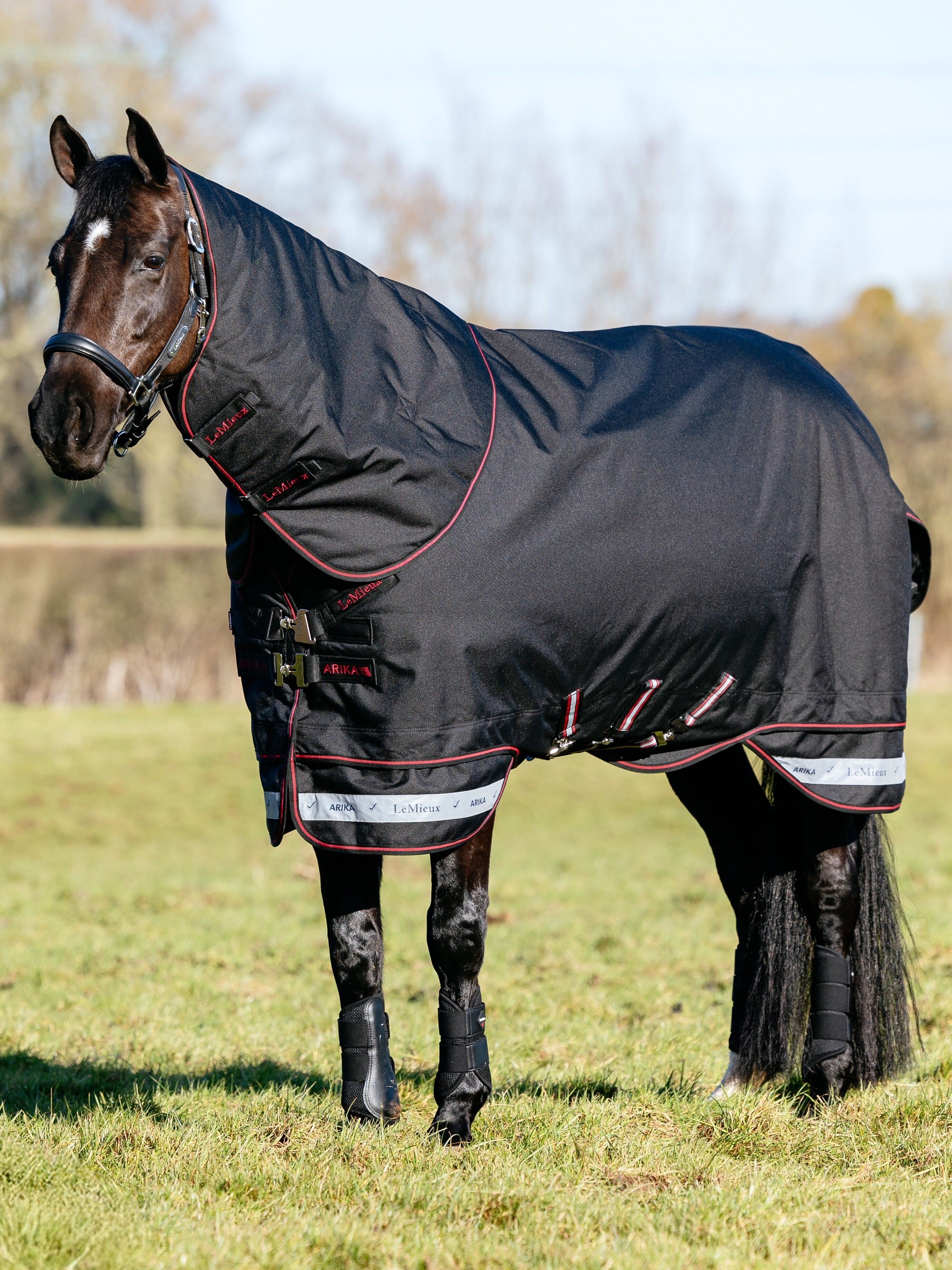 LeMieux Arika Storm-Tek Rug 50g Black, 165 cm