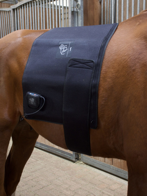 LuxMy Lichttherapie L-Pad Für Rücken, Bauch, Hws, Flanke, Isg, Hüfte & Knie