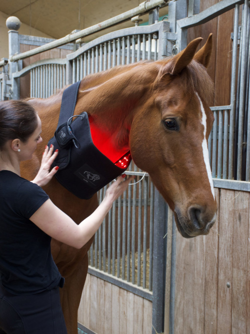 LuxMy Lichttherapie M-Pad Für Genick, Schulter, Brustbein & Gelenke