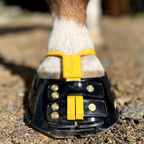 Scootboot Mud Strap Marigold Gr. Xxxl