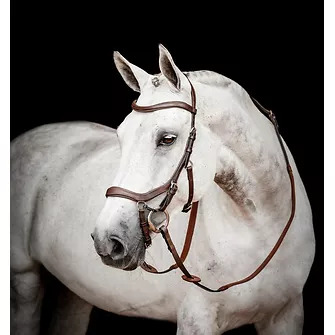 Horseware Micklem® Competition Bridle Dark Havana, Gr. Cob (Vb)