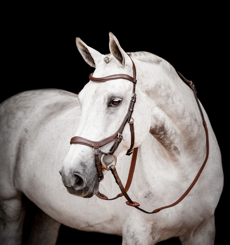 Horseware Micklem® Competition Bridle Dark Havana, Gr. Full