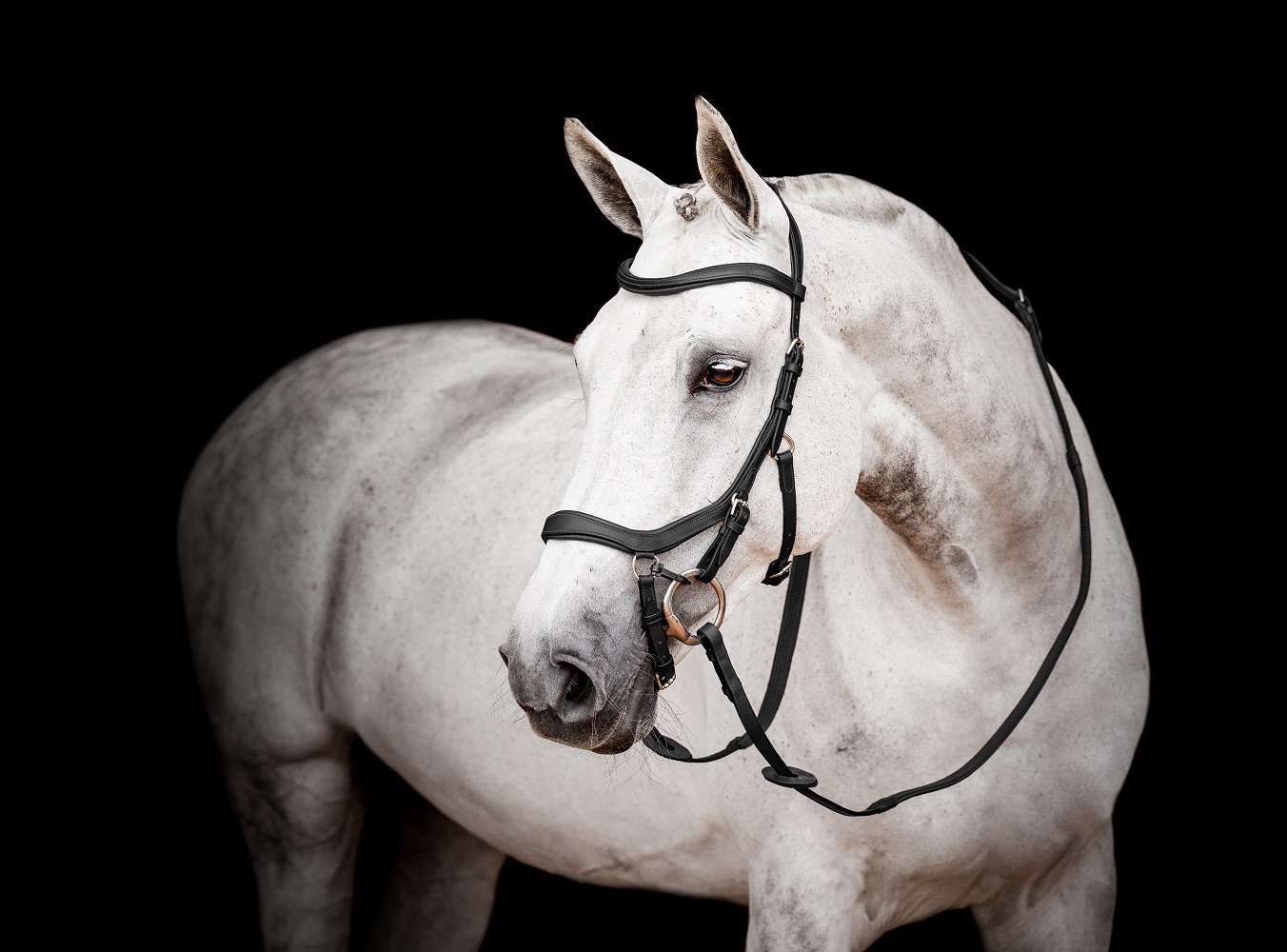 Horseware Micklem® Competition Bridle Schwarz, Gr. Pony