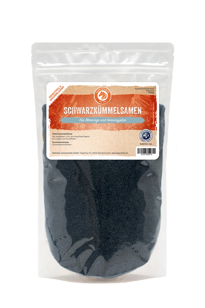 Hippoforte Schwarzkümmelsamen 1 kg Unterstützt die Atemwege