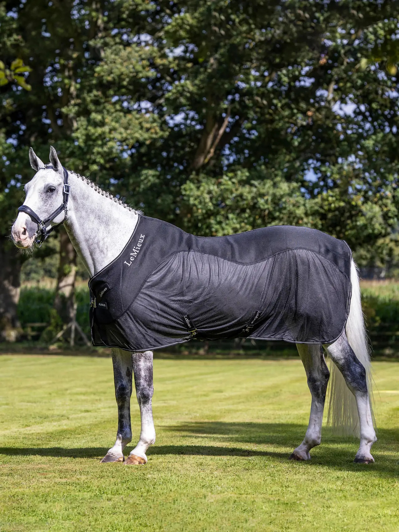 LeMieux Kudos Mesh Sports Cooler Rug Black, 155 cm