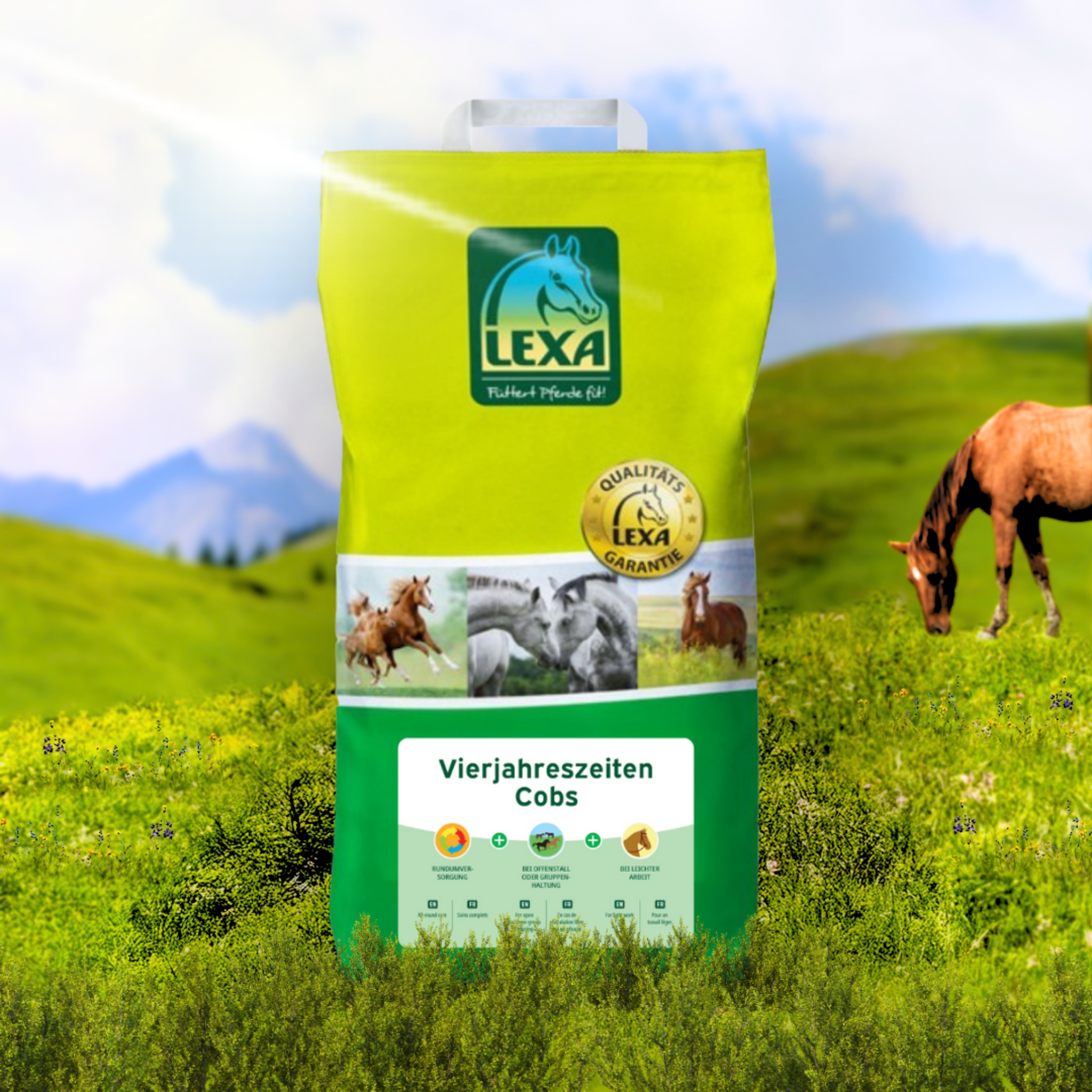 Lexa Vierjahreszeiten Cobs, 9 kg Für Pferde die eine ausgewogene Versorgung ohne großen Kraftfutteranteil benötigen